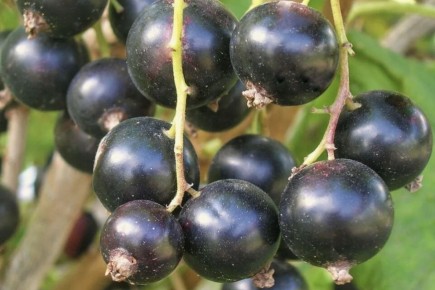 �������� ������ ������ ��������� � ���������� �� �������� � ����������