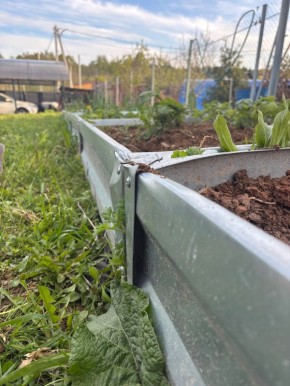 ��� ������� ��������� ������ ��� ������ ����: ������ � ��������