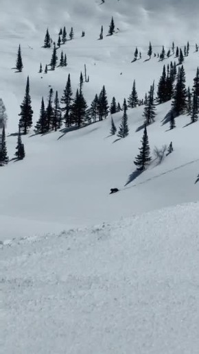 �� ����� ��������� �������