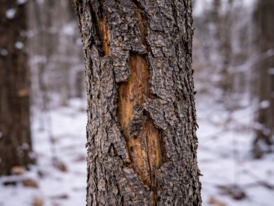 ��� ���������� ������� ������� �����: �������� �������� � ������ �� �����