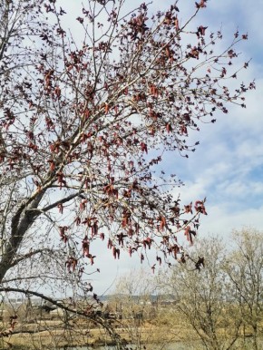 ��������� ���������� � ������ �� ������������ ��������� � �������