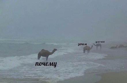 ��������� ����� ����������� �� �������