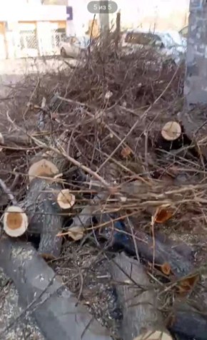 ������ ���� � ����-��� ������������ �� ����������� ����������