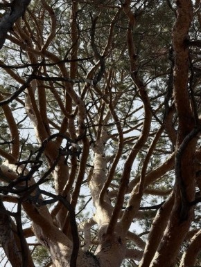 � ����-��� 350-������ ������ �������� ��������� ��������� ������