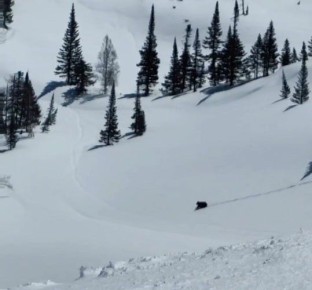 �� ����� � ������� ������� ��������� �������