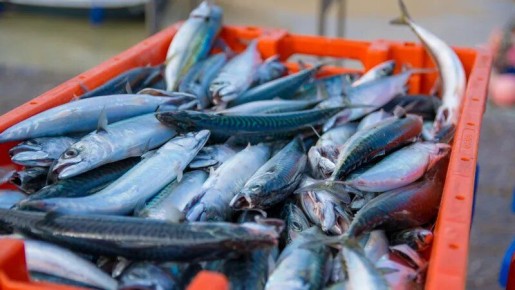 ��������� ��������� ����� ������ � ������������� ����������� ������ ��������