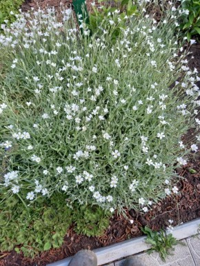 �������: ����������� � �������� � ����� ����