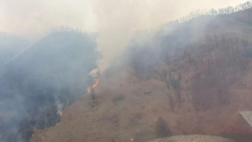 � ������ ������� �������� ������� ������ �����