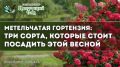 ��������� �����������: ������ ����� ��� ������ ���� ������