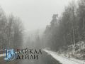 Жителей Бурятии призвали не парковать автомобили вблизи деревьев