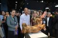 Бондарчук знакомится с выставкой креативного форума
