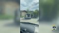 ������ �� �������� ������� �� ����������� ����� ����� �� �������
