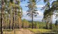 В Улан-Удэ забросали палками змею
