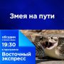 ���� �� ����. ��o���a� �������� ������� ������� �� ������ ����, � ������ �������