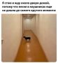������ ��������� ����!). �� ������ ���������� ��������������, 20 ���� �� ���������� ������������ �������� ������, ����� ������� ��������� �����, ���� �� ������� ����� ���������� ����� ��������� �������������, � ������...