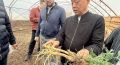 Неправильно вы лекарства растите: в Заиграевский район Бурятии приехала делегация из Китая