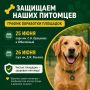 Защищаем четвероногих друзей: график обработки площадок