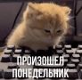 � ����� ������� �������. ������� ������� ������� 30-��������� ���� � �����������, 29 ����, � ������� ������� ���������� ���������� � ��������������� �����