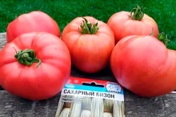 Томат Сахарный бизон: Все, что нужно знать о его выращивании и преимуществах