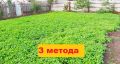 Восстановление истощённой почвы: три органических подхода без перекопки