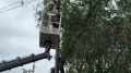 Зелень растёт — обзор должен оставаться открытым