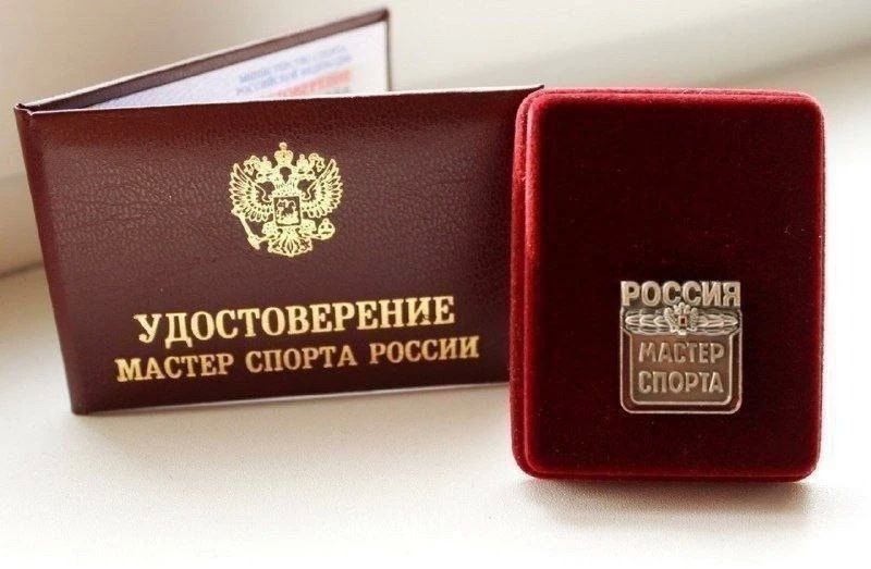 Юрий Трескин стал мастером спорта России по дартс Юрий Трескин стал мастером спорта России по дартс