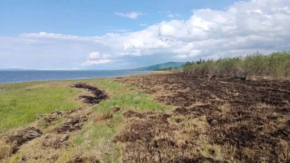 Прокуратура добивается возмещения ущерба, причиненного в результате лесных пожаров Прокуратура добивается возмещения ущерба, причиненного в результате лесных пожаров
