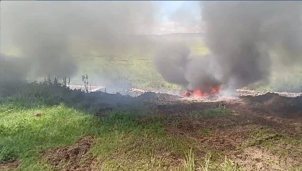В районе Бурятии выросла свалка из коровьих трупов