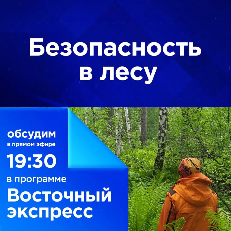 Безопасность в лесу. С начала июля в лесах Бурятии потерялись 17 человек