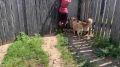 ����� ����� � ����� ����������