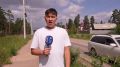 Сорняки в 120 кварталах не косили с начала лета