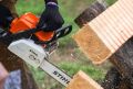 Житель Бурятии крупно поплатился за четыре срубленные лиственницы