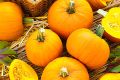 Тыква Фонарь: секреты выращивания и неповторимый вкус