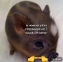 ������ ����!). �� ������ ���������� ��������������, 27 ���� �� ���������� ���������� ����������, ������� ��������������� �����, �����, �� ������ � �������, ����� ��� ���������� ������