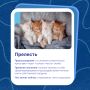 За привычной речью часто скрываются неожиданные истории