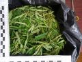 Транспортные полицейские Прибайкалья изъяли у 28-летнего жителя г. Улан-Удэ более 180 гр. марихуаны