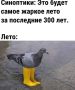 Дожди и грозы ожидаются в Бурятии
