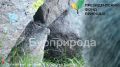 � ������� ����������� ������ ����������� ������ � ���������� ������ ������������ �������