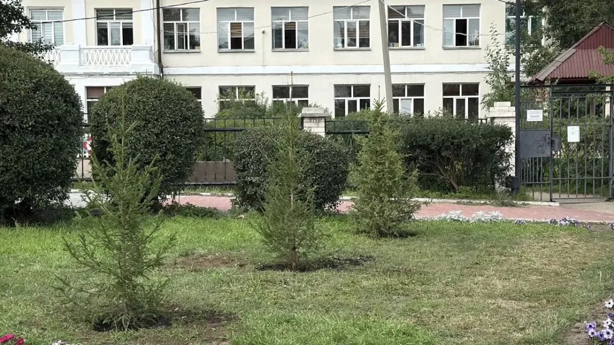 В историческом уголке на улице Бабушкина высадили ели В историческом уголке на улице Бабушкина высадили ели