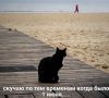 От заморозков до +21°: Бурятию ждут погодные качели