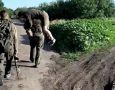 � ������������ ��������� ��������� ������ ���������� �� ��������� ����������� ������� �������� �� �������, ������� ����� �������� ������� ��������