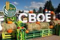 Полтонны бульона из баранины, розыгрыш жеребца и путевки на мараловую ферму: чем удивит улан-удэнцев фермерский фестиваль «Свое»