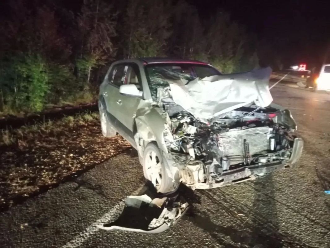 Два автомобиля столкнулись с коровами под Средним Убукуном Два автомобиля столкнулись с коровами под Средним Убукуном