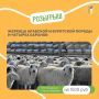 Покупаете фермерские продукты - участвуете в розыгрыше!
