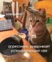 ������ ����). �� ������ ���������� ��������������, 9 �������� �� ���������� ���������� ����������, ����� �� ���-������ � ���, ���� �� ����������� � �������� �������� ������� �����