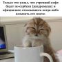 Доброе утро! Вот и выходные подъехали)