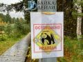 Жителей Бурятии продолжают встречать медведей
