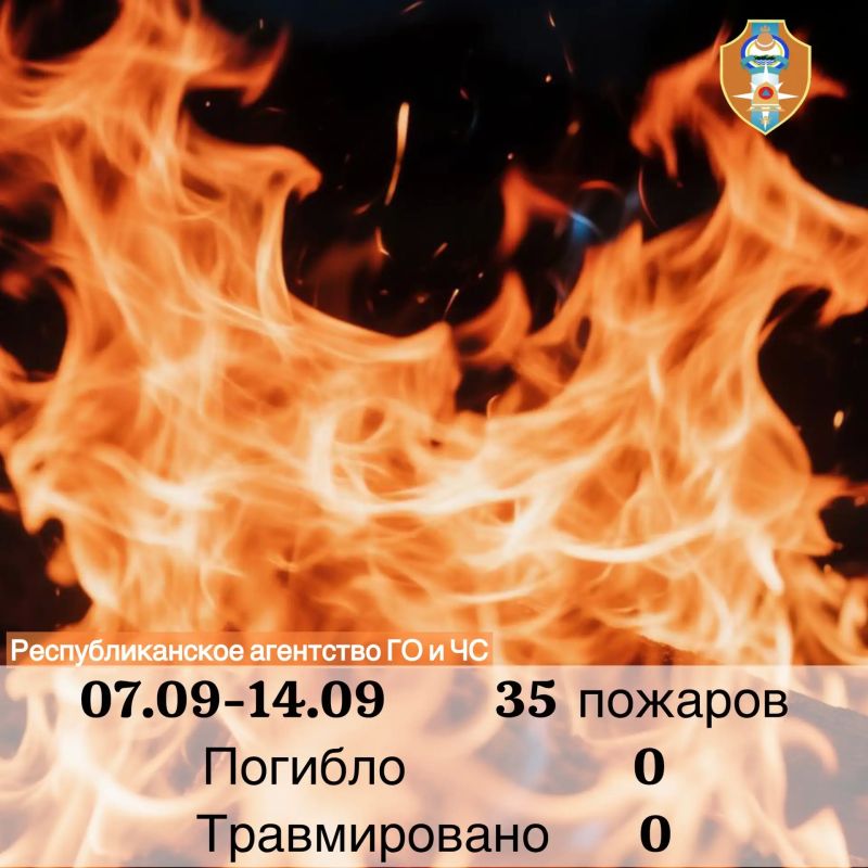 Еженедельный отчет