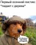 Кратковременные дожди и туманы прогнозируют в ближайшие дни в Бурятии