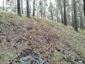 Улан - Удэнцев просят временно воздержаться от посещения городских кладбищ